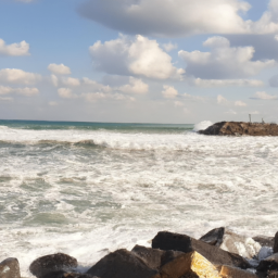 deckzone (jcdecaux.lens) Lens social identity (.lens handle) PFP