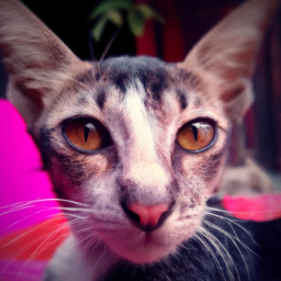 kirakosaron (kirakosarin.lens) Lens social identity (.lens handle) PFP