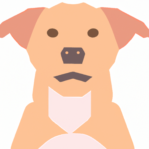 Chhota (petit.lens) Lens social identity (.lens handle) PFP