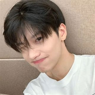 festainsuportav (festainsuportav.lens) Lens social identity (.lens handle) PFP