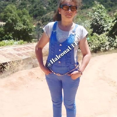 HalconaUFF (halconauff.lens) Lens social identity (.lens handle) PFP