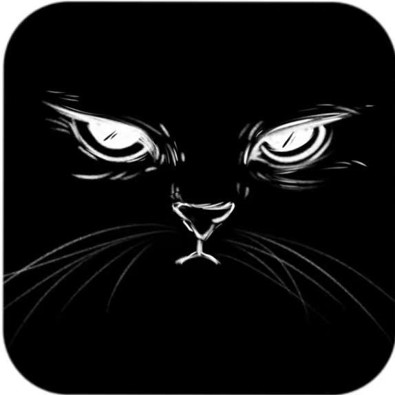 flying tiger (shuprimez.lens) Lens social identity (.lens handle) PFP