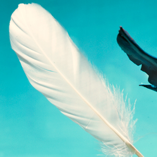 gaoya (gghyuu.lens) Lens social identity (.lens handle) PFP