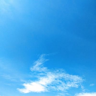 Aleksan52094351 (aleksan52094351.lens) Lens social identity (.lens handle) PFP