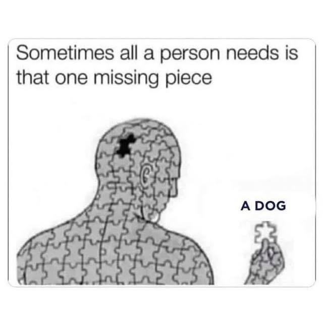 Quantify Nexus (appsfire.lens) Lens social identity (.lens handle) PFP