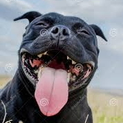 mikhail111.lens Lens social identity (.lens handle) PFP