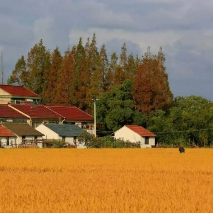 gfds34f (55ytyr.lens) Lens social identity (.lens handle) PFP