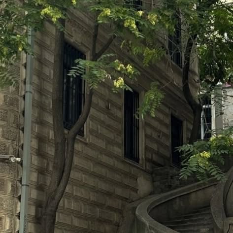 Luna Frame (zorjxg.lens) Lens social identity (.lens handle) PFP