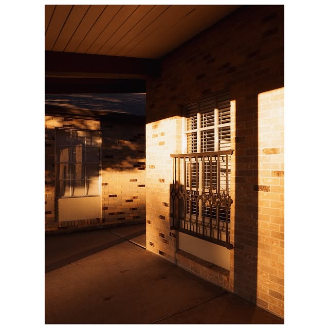 Healer Hooves (kampyle.lens) Lens social identity (.lens handle) PFP