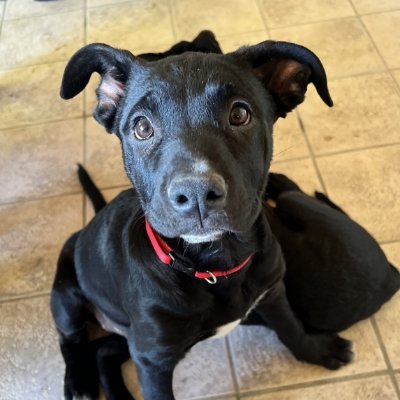 jaeutijo1 (jaeutijo1.lens) Lens social identity (.lens handle) PFP