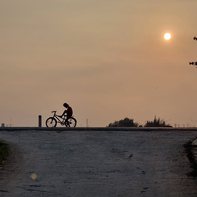 Verdant Guardian (mniku.lens) Lens social identity (.lens handle) PFP