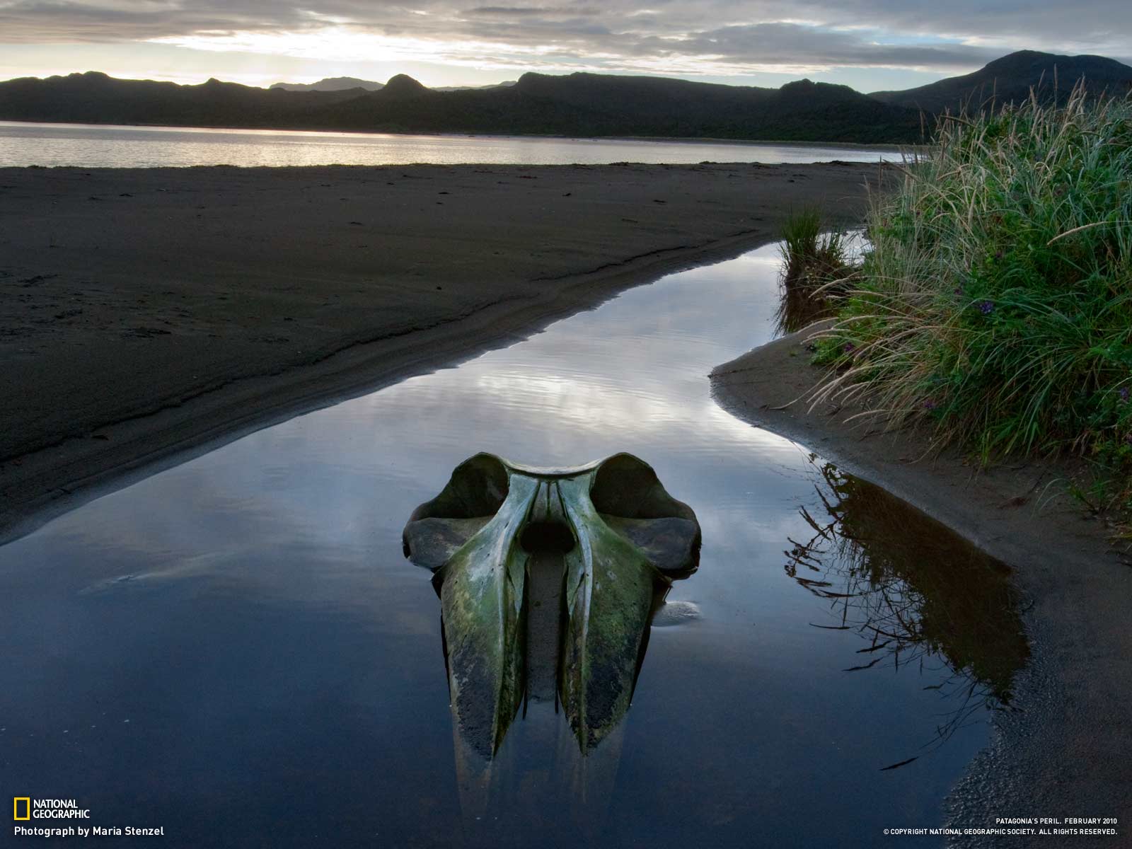 rgdhdh (7778888.lens) Lens social identity (.lens handle) PFP