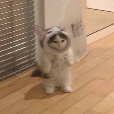 David (vdyevey.lens) Lens social identity (.lens handle) PFP