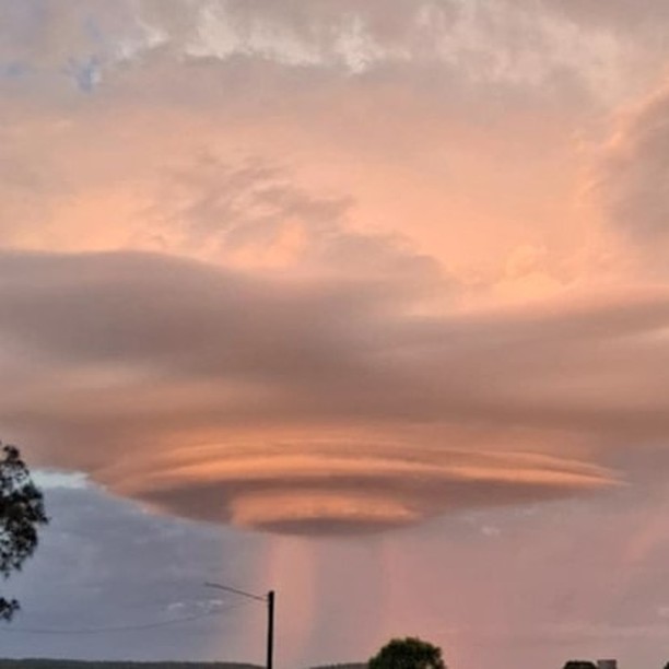 Diplomatic Echoes (opendns.lens) Lens social identity (.lens handle) PFP