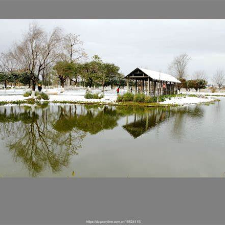 Chester Michael (nnnnnq.lens) Lens social identity (.lens handle) PFP