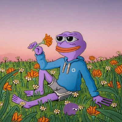 nadiya naoufel (nadiyanaoufel.lens) Lens social identity (.lens handle) PFP