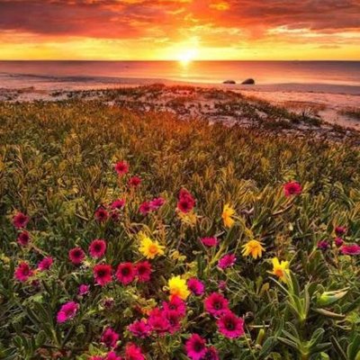 LoveU_Nature (loveunature.lens) Lens social identity (.lens handle) PFP