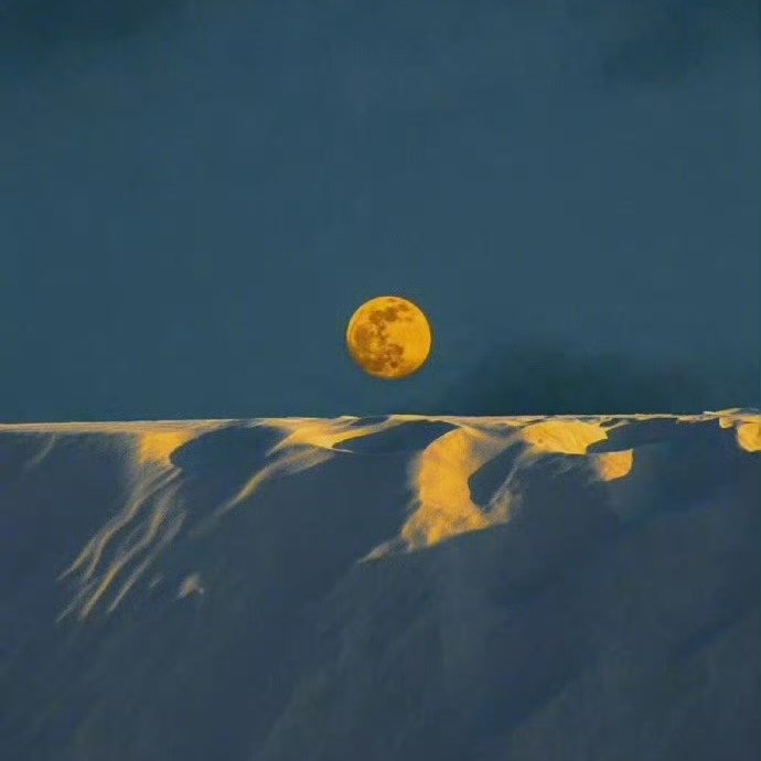 James Smith (whiteshirt.lens) Lens social identity (.lens handle) PFP