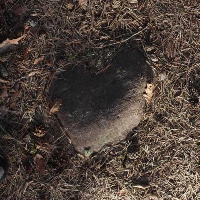 Sage Arlin (samsungdm.lens) Lens social identity (.lens handle) PFP