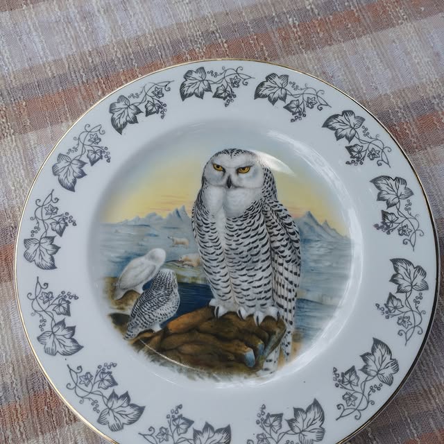 Harper Justice (icims.lens) Lens social identity (.lens handle) PFP