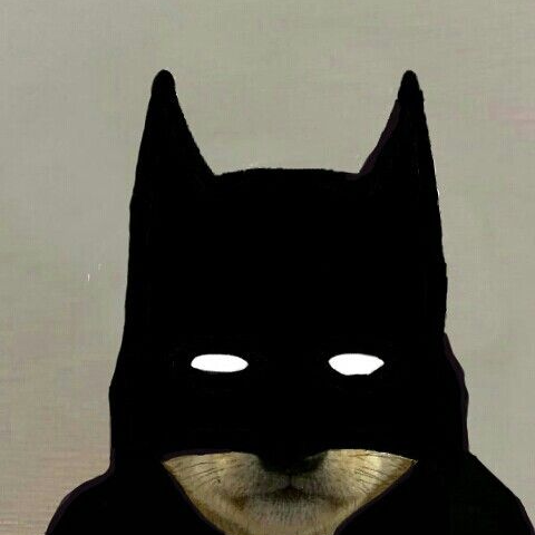 Francesco (fracco.lens) Lens social identity (.lens handle) PFP