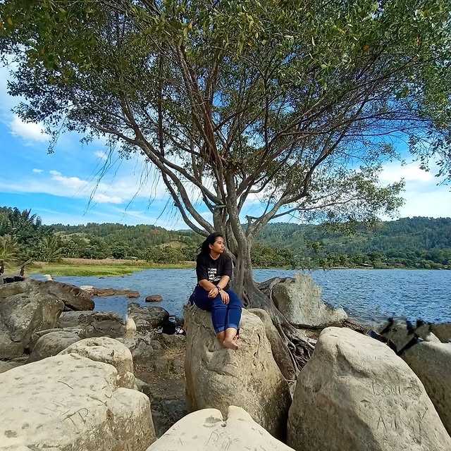 Curvature Innovations (alephd.lens) Lens social identity (.lens handle) PFP