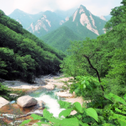 kakafinance (kakaobank.lens) Lens social identity (.lens handle) PFP