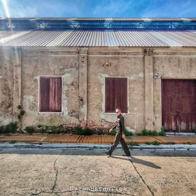 Verba Nova (yottaa.lens) Lens social identity (.lens handle) PFP