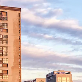 mibibg (sitsity.lens) Lens social identity (.lens handle) PFP