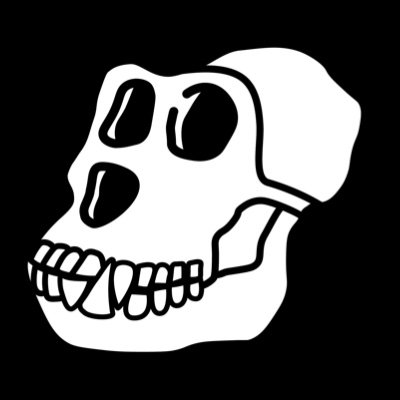 cui (saxzcs.lens) Lens social identity (.lens handle) PFP