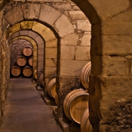 yuyb (5566778.lens) Lens social identity (.lens handle) PFP