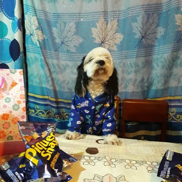 BlockChainBetsy (adtilt.lens) Lens social identity (.lens handle) PFP