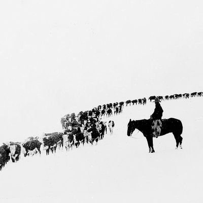 farm_smith (farmsmith.lens) Lens social identity (.lens handle) PFP