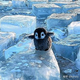 rumbero20 (rumbero20.lens) Lens social identity (.lens handle) PFP