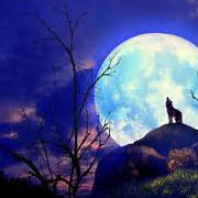 fdfyyu (asdrf.lens) Lens social identity (.lens handle) PFP