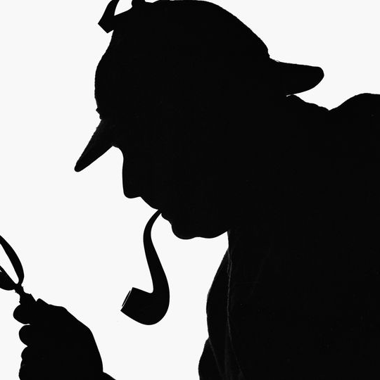 Block Detective (blockdetective.lens) Lens social identity (.lens handle) PFP