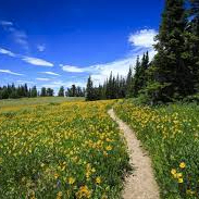 Zahra Binte Waqas (roico22.lens) Lens social identity (.lens handle) PFP