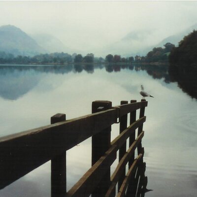 baznguitar (baznguitar.lens) Lens social identity (.lens handle) PFP