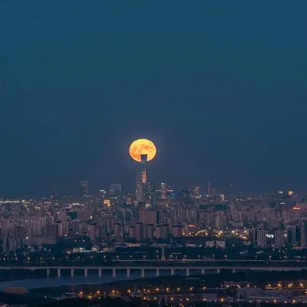 hopione (hopione.lens) Lens social identity (.lens handle) PFP