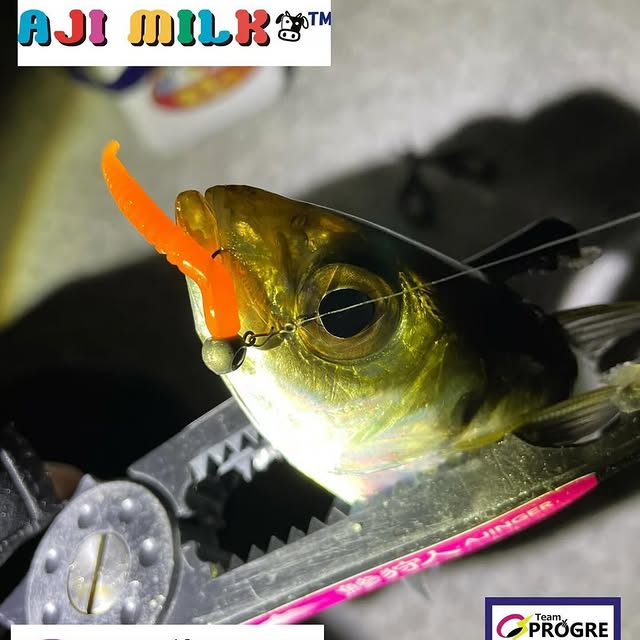 Sprint Maverick (bdllppws.lens) Lens social identity (.lens handle) PFP