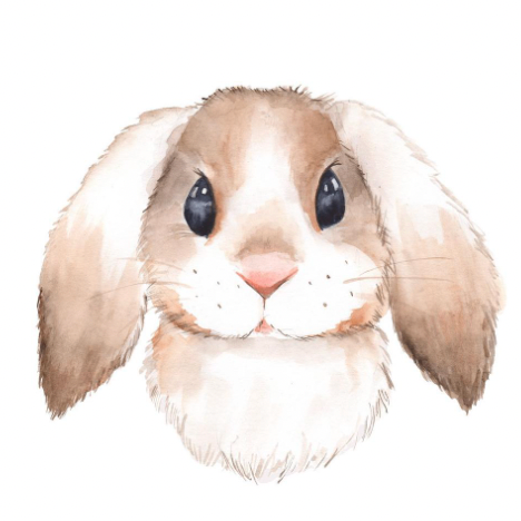 dehwyy6ce (tongbu.lens) Lens social identity (.lens handle) PFP