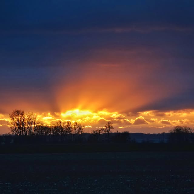 Alloy Innovator (akafms.lens) Lens social identity (.lens handle) PFP