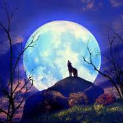 priya (owoywkosn.lens) Lens social identity (.lens handle) PFP