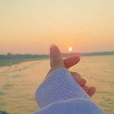 orchabbeiy (orchabbeiy.lens) Lens social identity (.lens handle) PFP