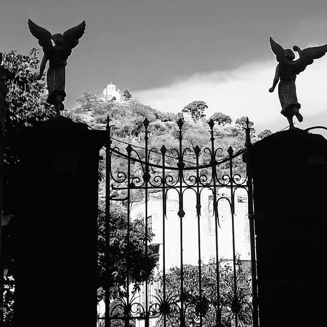 Lexis Scholar (josscdn.lens) Lens social identity (.lens handle) PFP