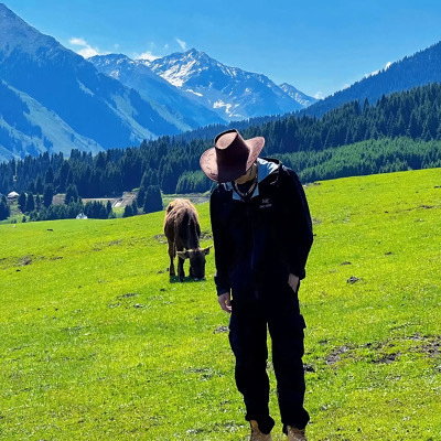 lishiyu123 (lishiyu620.lens) Lens social identity (.lens handle) PFP