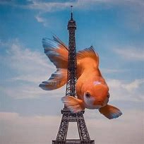 Tommie Vernell (ygtrfgh.lens) Lens social identity (.lens handle) PFP