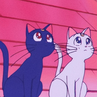 gay chicks (xiaojitozhi.lens) Lens social identity (.lens handle) PFP