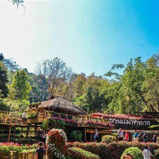 Hilda Jenny (yyyyym.lens) Lens social identity (.lens handle) PFP