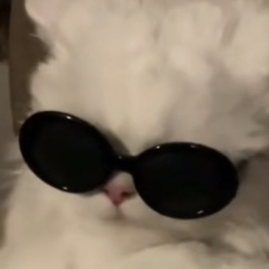 alyana (alaynabegone.lens) Lens social identity (.lens handle) PFP